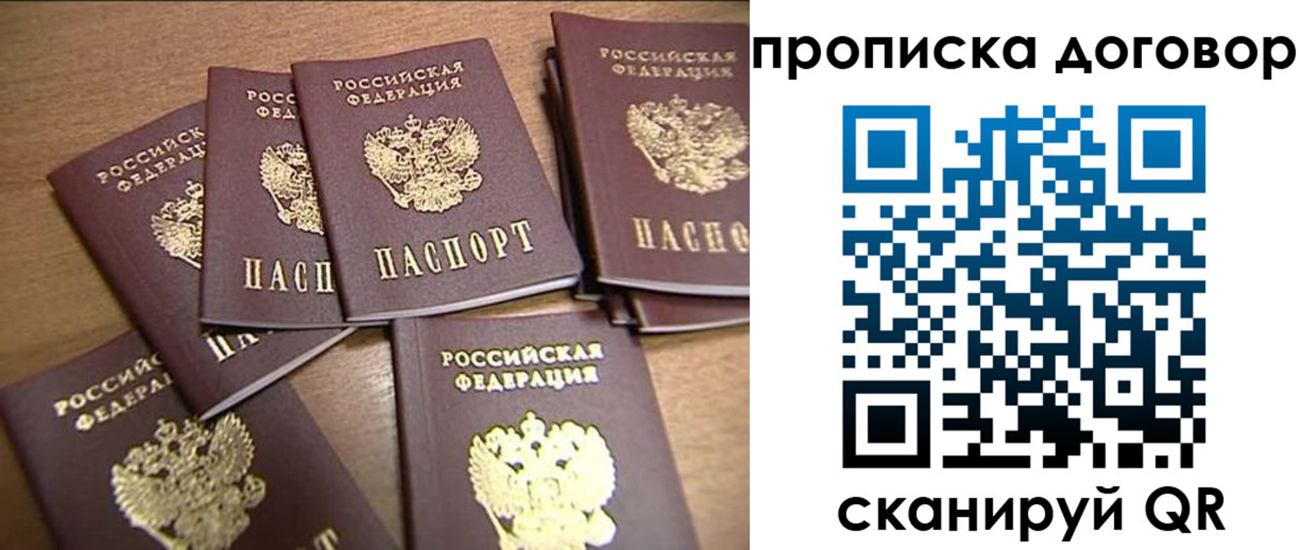 где прописаться в Фрязино